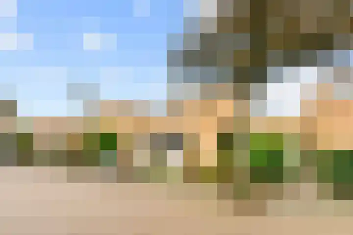 Zwanebloembocht 219 Velserbroek thumbnail 9