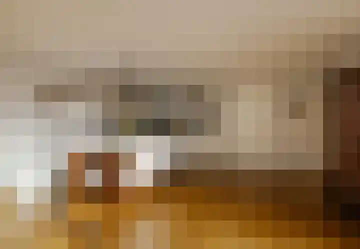 Zwanebloembocht 221 Velserbroek thumbnail 11
