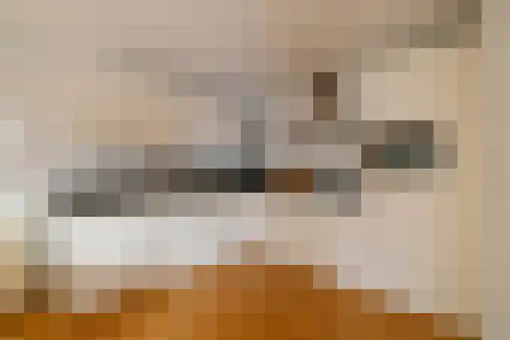 Zwanebloembocht 221 Velserbroek thumbnail 12