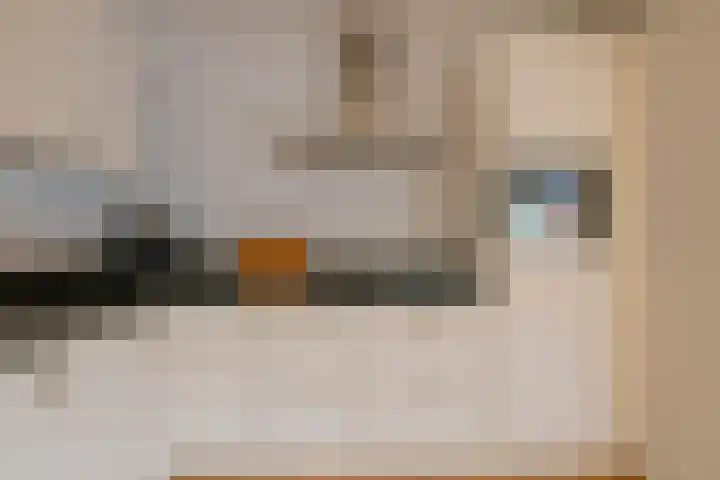Zwanebloembocht 221 Velserbroek thumbnail 13