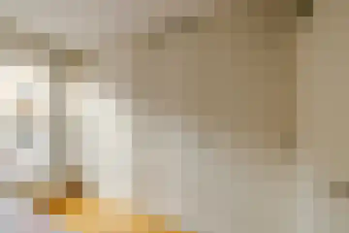 Zwanebloembocht 221 Velserbroek thumbnail 15