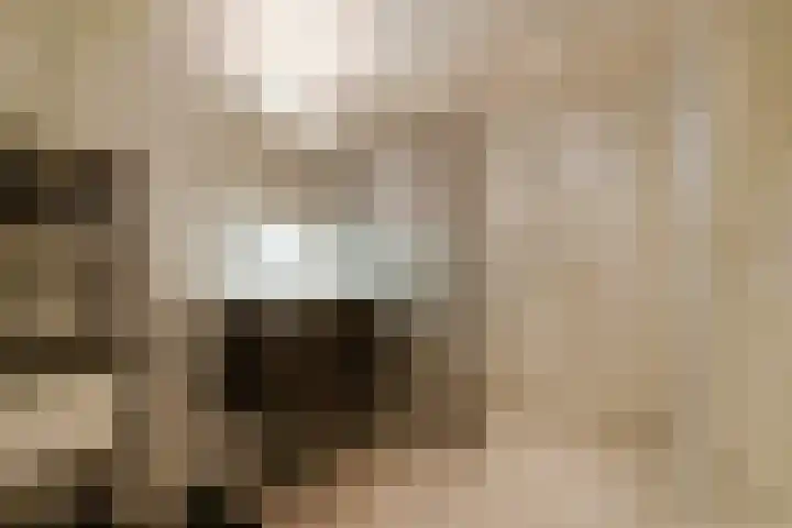 Zwanebloembocht 221 Velserbroek thumbnail 16