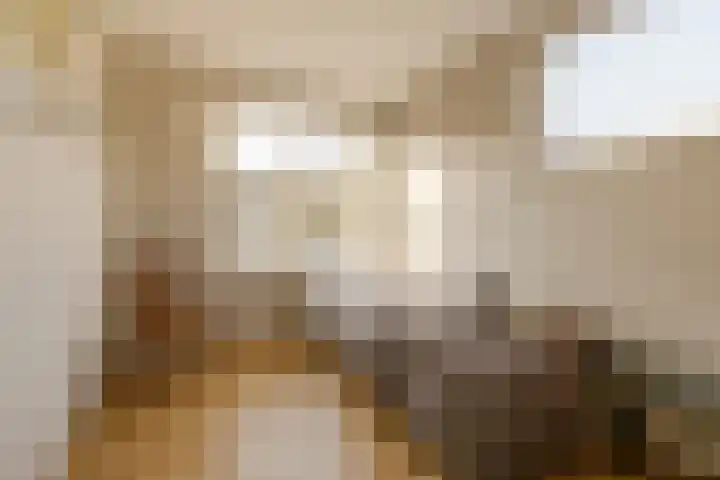 Zwanebloembocht 221 Velserbroek thumbnail 19