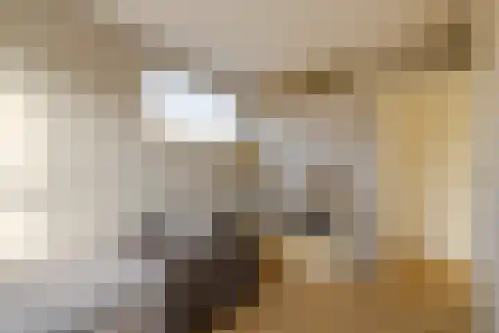 Zwanebloembocht 221 Velserbroek thumbnail 20