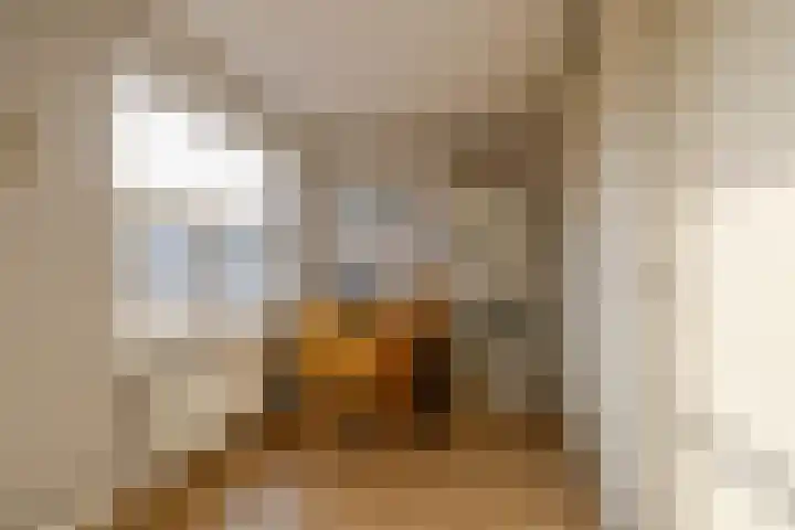 Zwanebloembocht 221 Velserbroek thumbnail 23