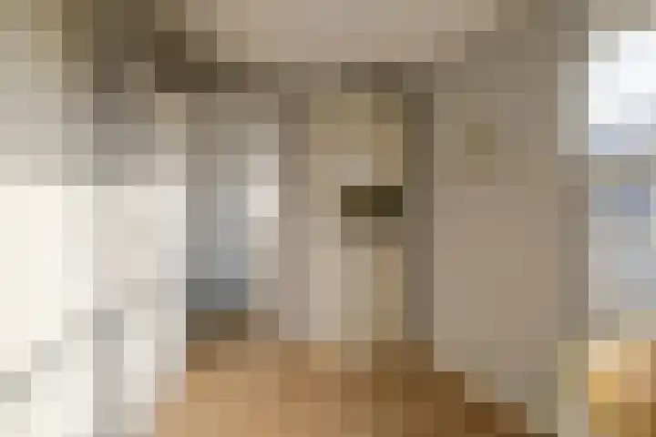 Zwanebloembocht 221 Velserbroek thumbnail 24