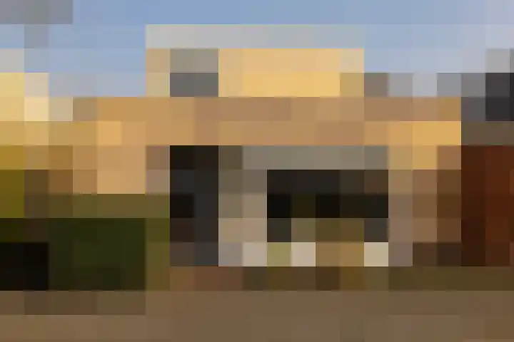Zwanebloembocht 221 Velserbroek thumbnail 27