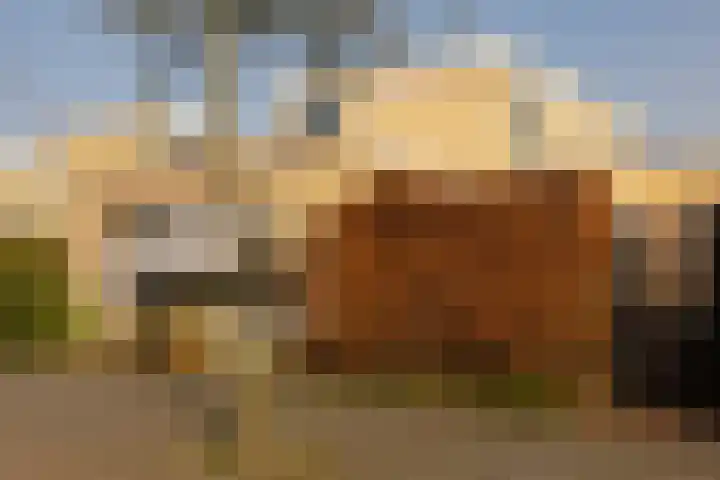 Zwanebloembocht 221 Velserbroek thumbnail 28