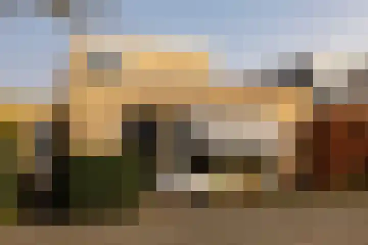 Zwanebloembocht 221 Velserbroek thumbnail 29