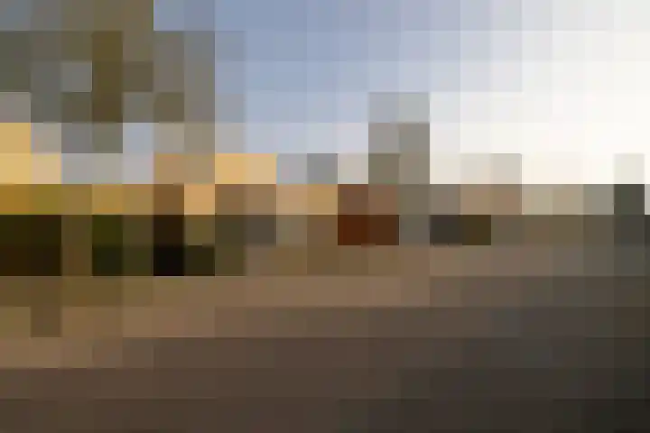 Zwanebloembocht 221 Velserbroek thumbnail 30