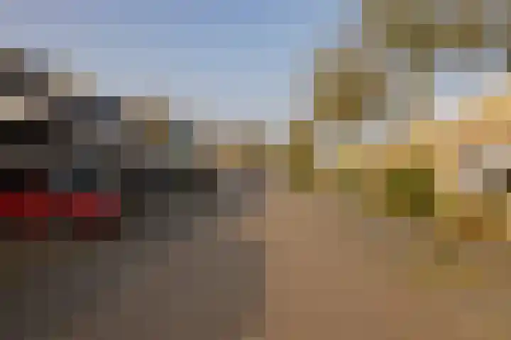 Zwanebloembocht 221 Velserbroek thumbnail 31