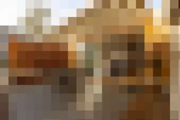 Zwanebloembocht 221 Velserbroek thumbnail 4