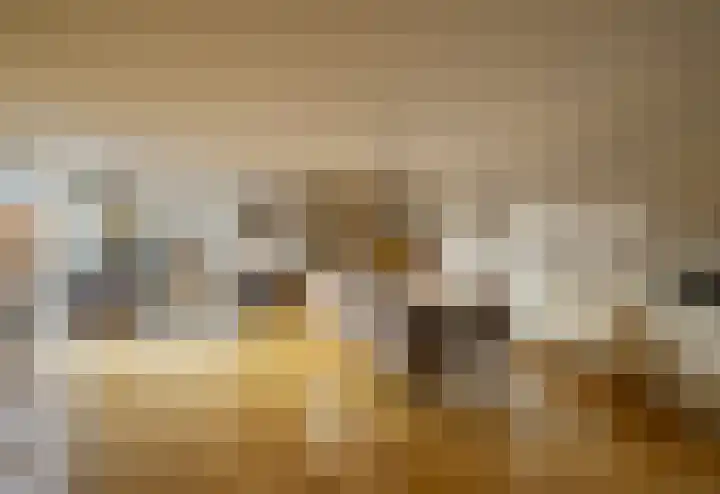 Zwanebloembocht 221 Velserbroek thumbnail 5