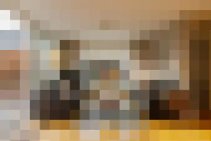 Zwanebloembocht 221 Velserbroek thumbnail 6