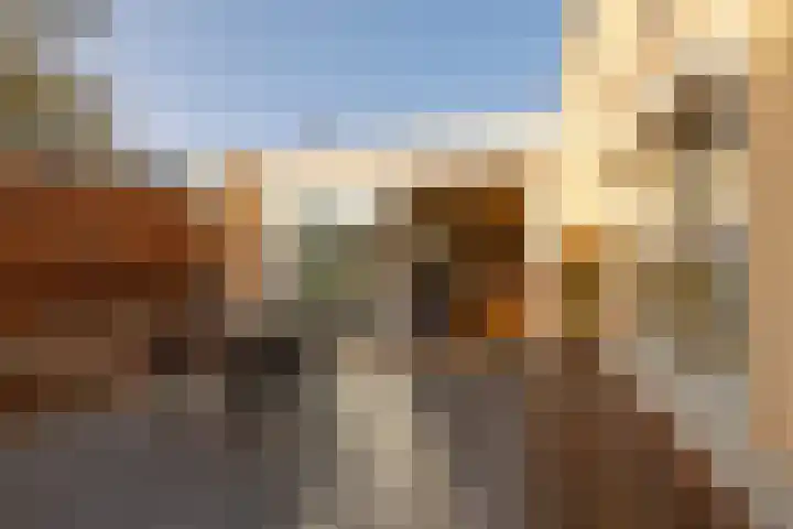 Zwanebloembocht 221 Velserbroek thumbnail 8