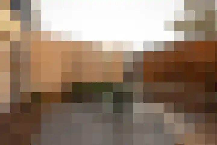 Zwanebloembocht 221 Velserbroek thumbnail 9