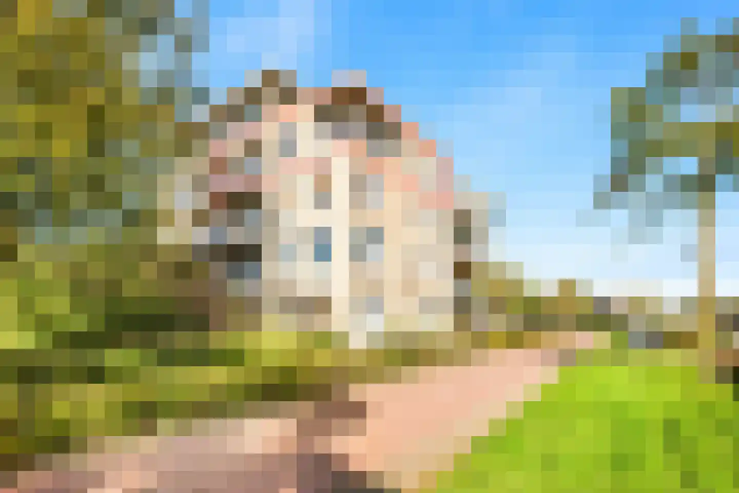 Zwanebloembocht 25 Velserbroek