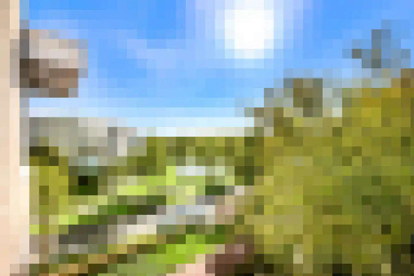 Zwanebloembocht 25 Velserbroek thumbnail 27
