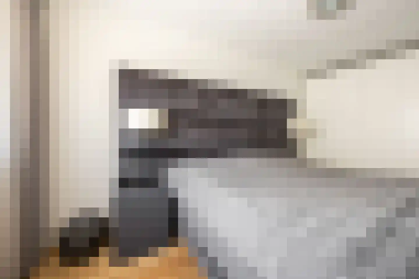 Zwanebloembocht 28 Velserbroek thumbnail 17