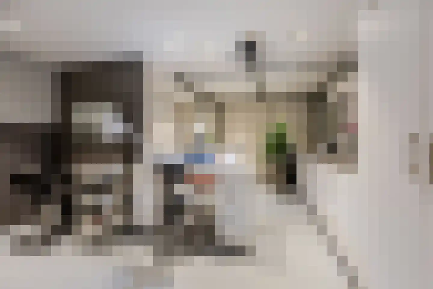 Zwanebloembocht 28 Velserbroek thumbnail 23