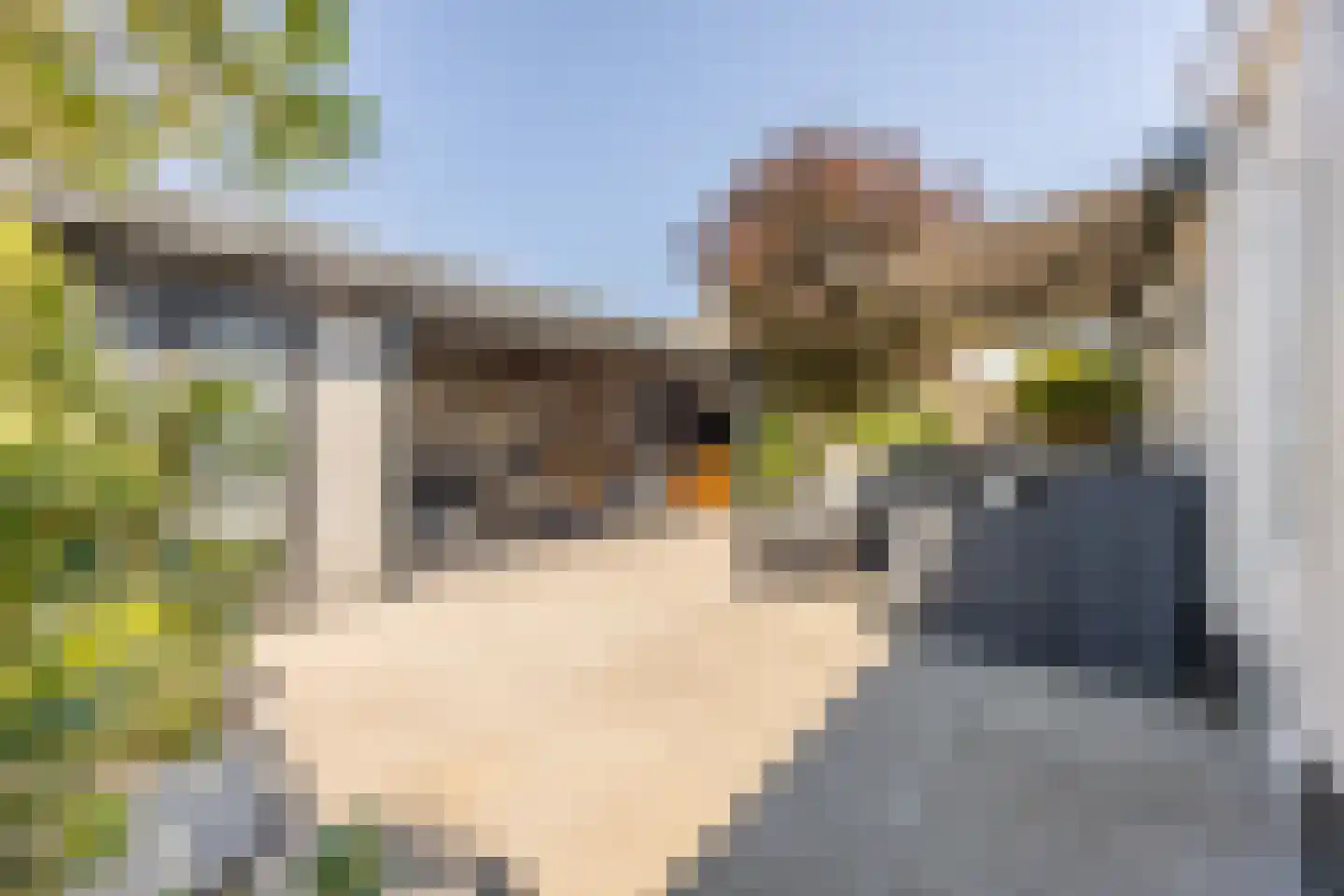 Zwanebloembocht 28 Velserbroek thumbnail 28