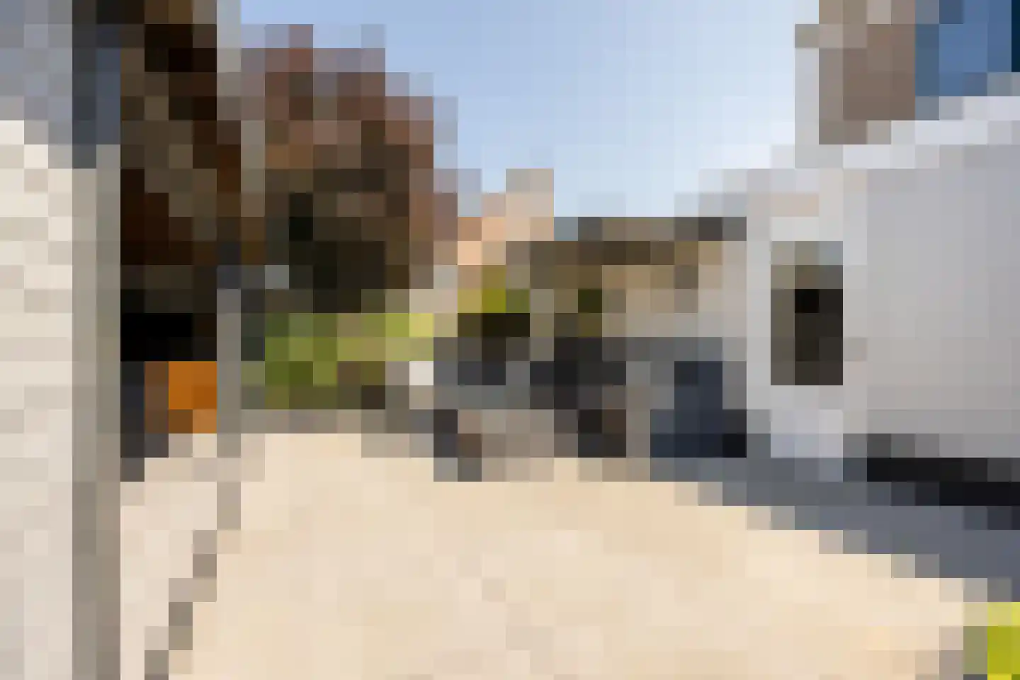 Zwanebloembocht 28 Velserbroek thumbnail 29