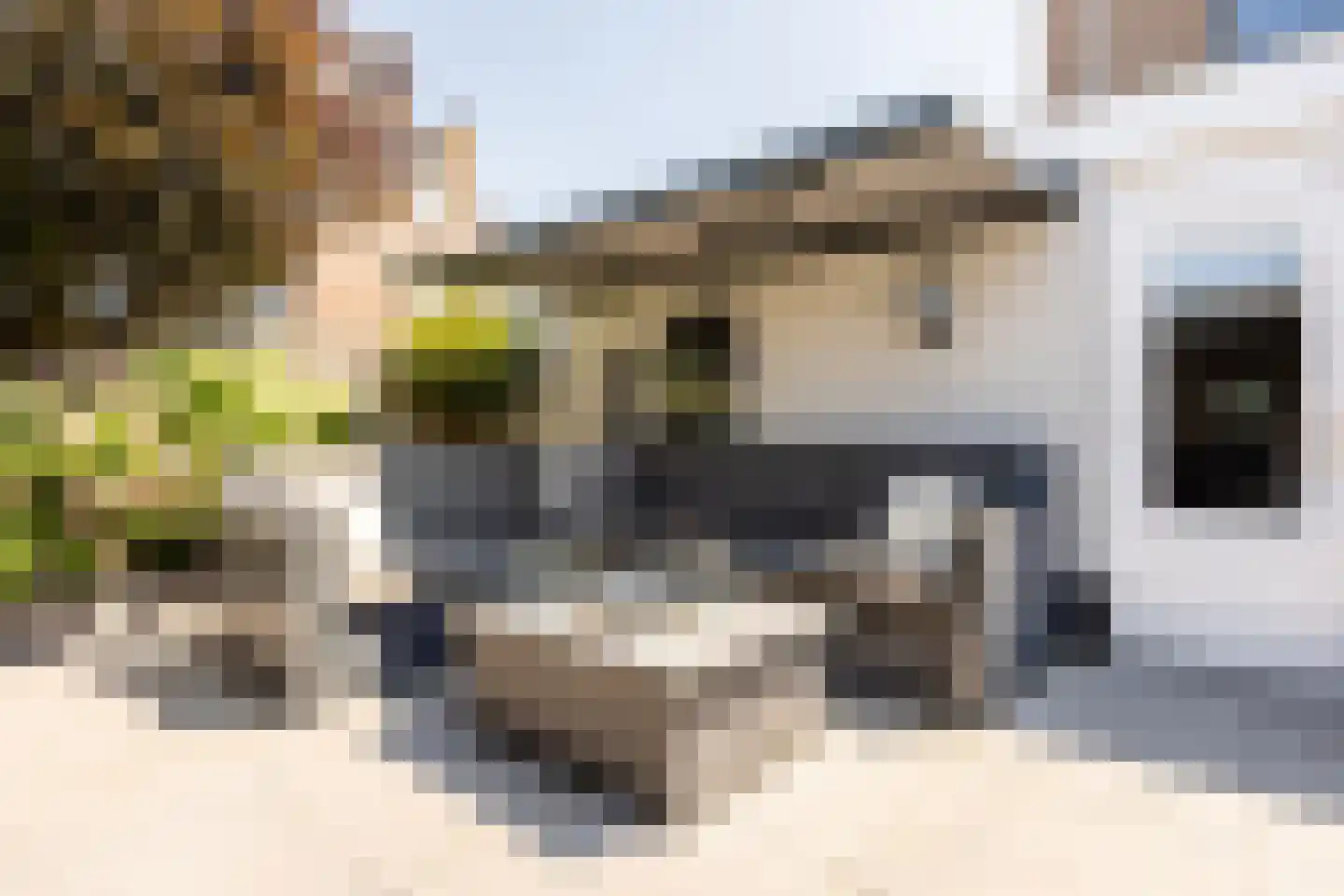 Zwanebloembocht 28 Velserbroek thumbnail 30