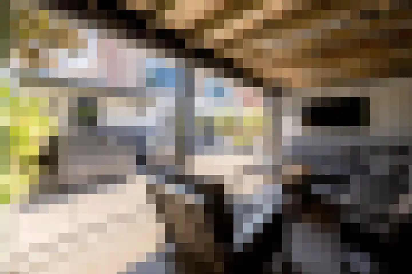 Zwanebloembocht 28 Velserbroek thumbnail 33