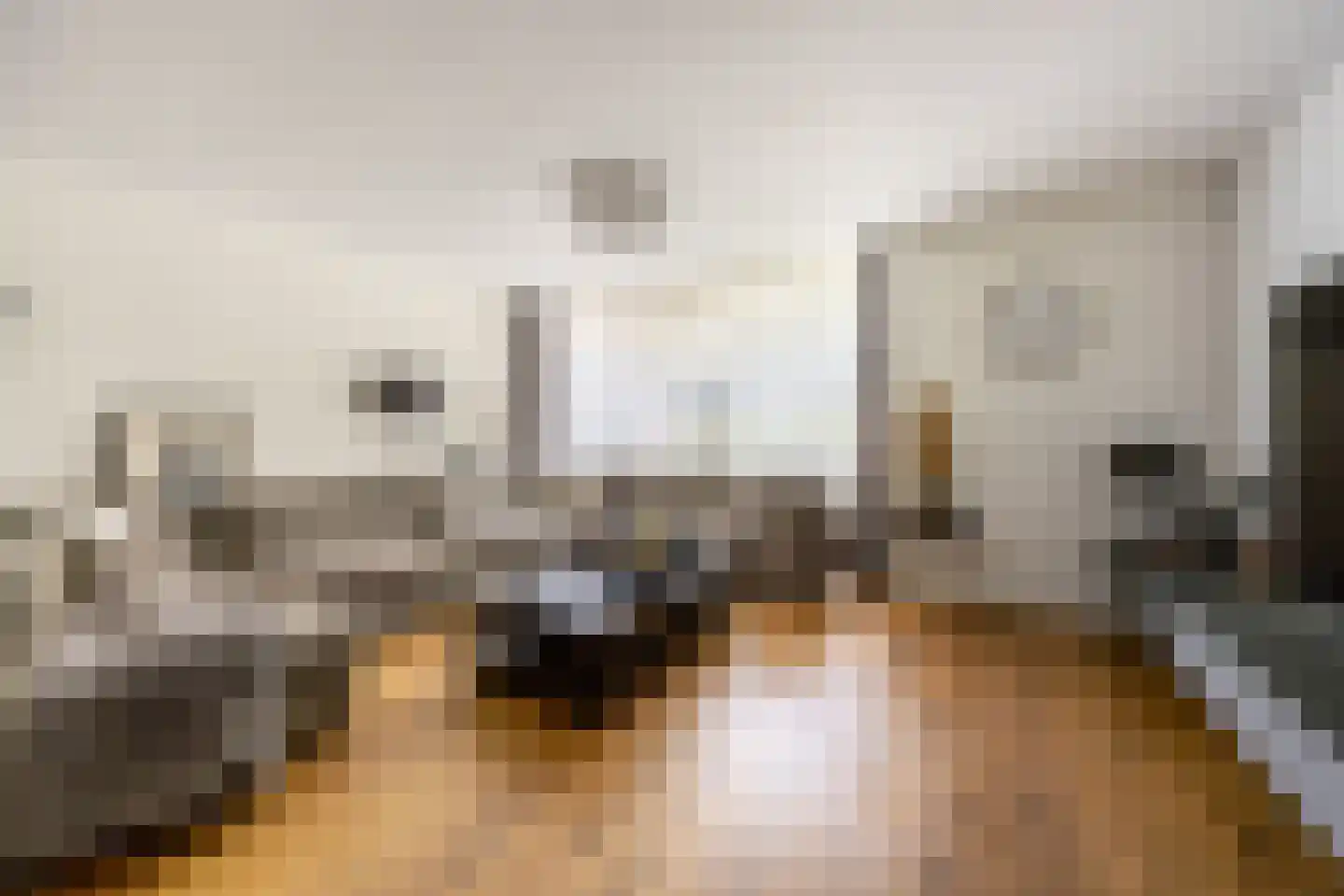 Zwanebloembocht 28 Velserbroek thumbnail 9