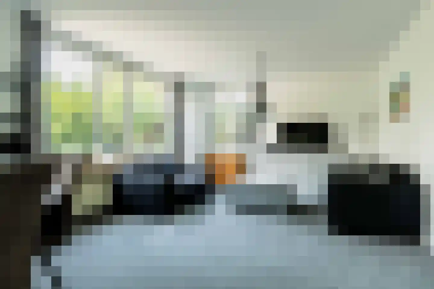Zwanebloembocht 35 Velserbroek thumbnail 11