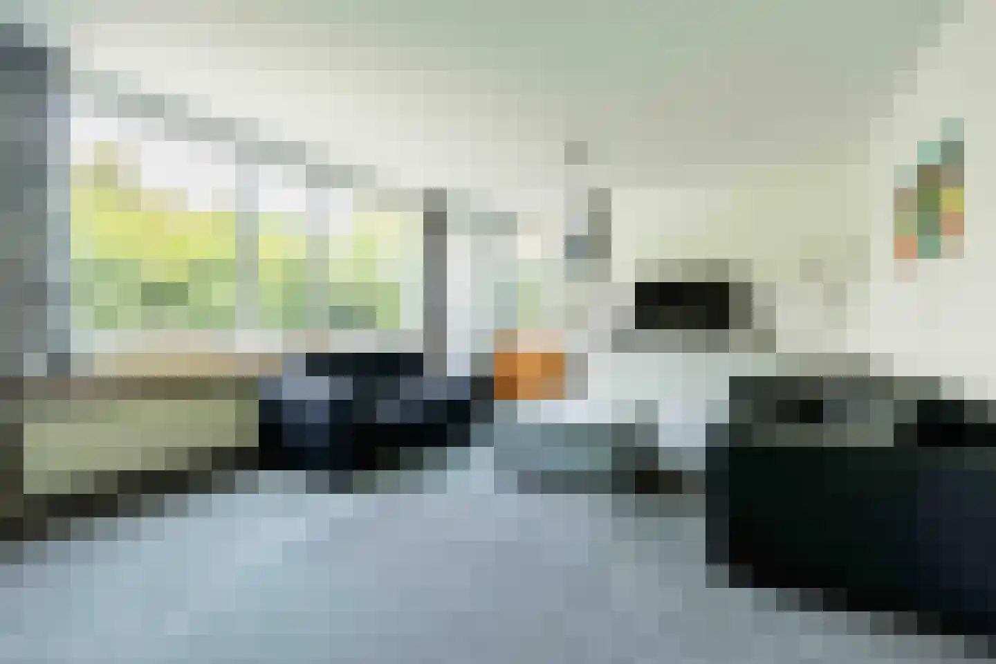 Zwanebloembocht 35 Velserbroek thumbnail 13