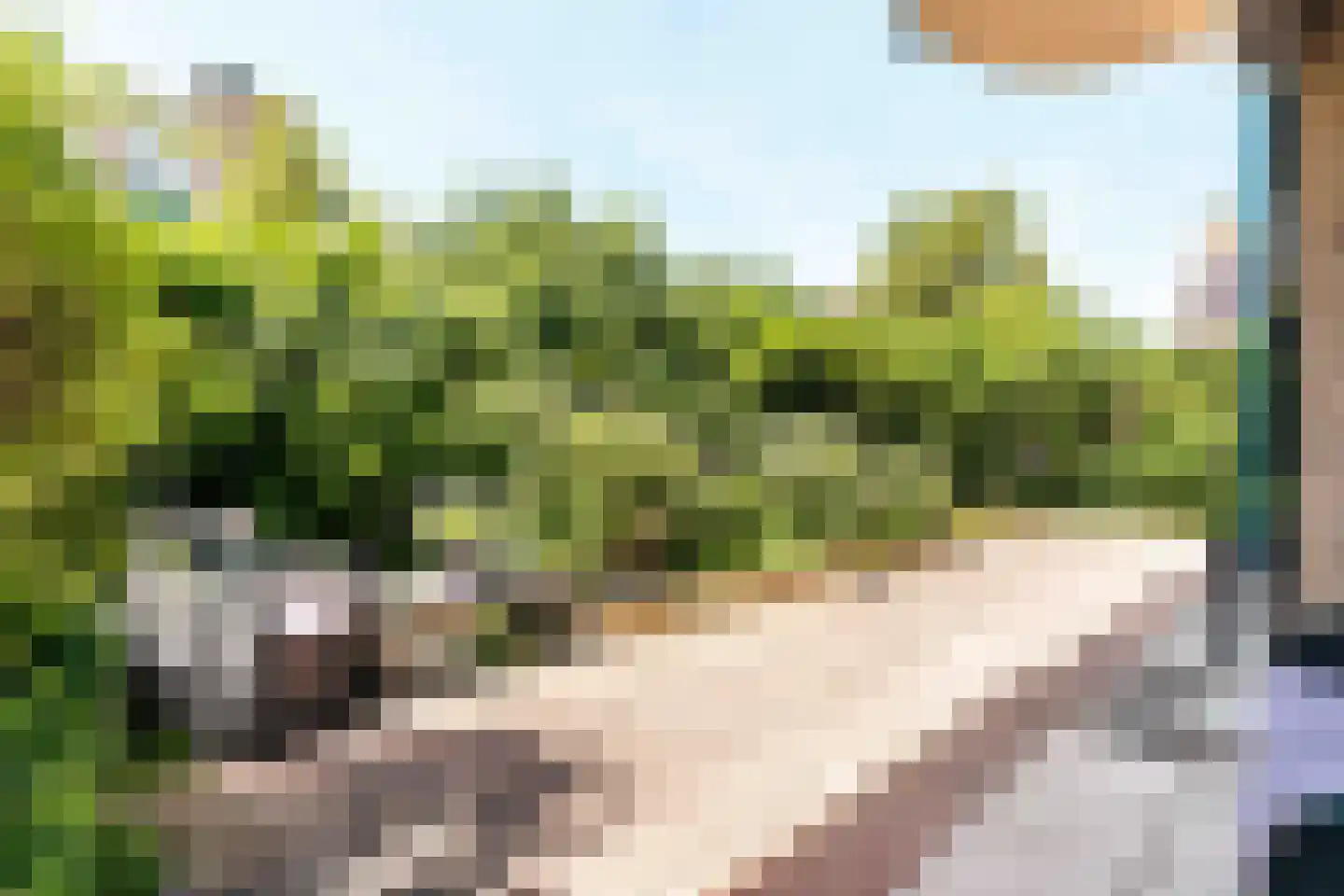Zwanebloembocht 35 Velserbroek thumbnail 23