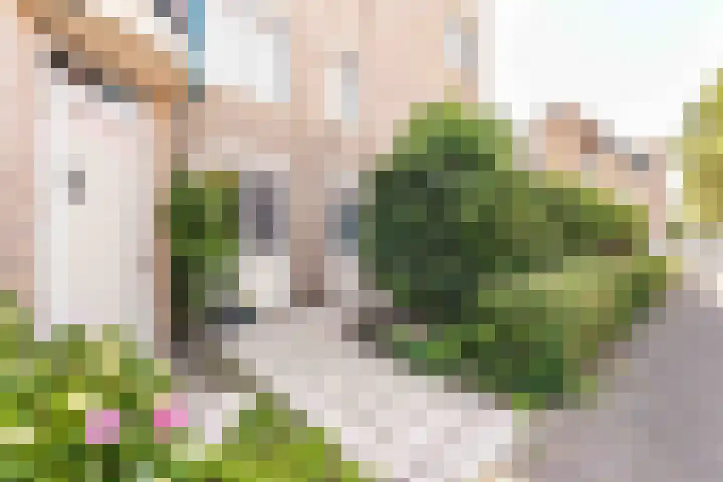 Zwanebloembocht 35 Velserbroek thumbnail 26
