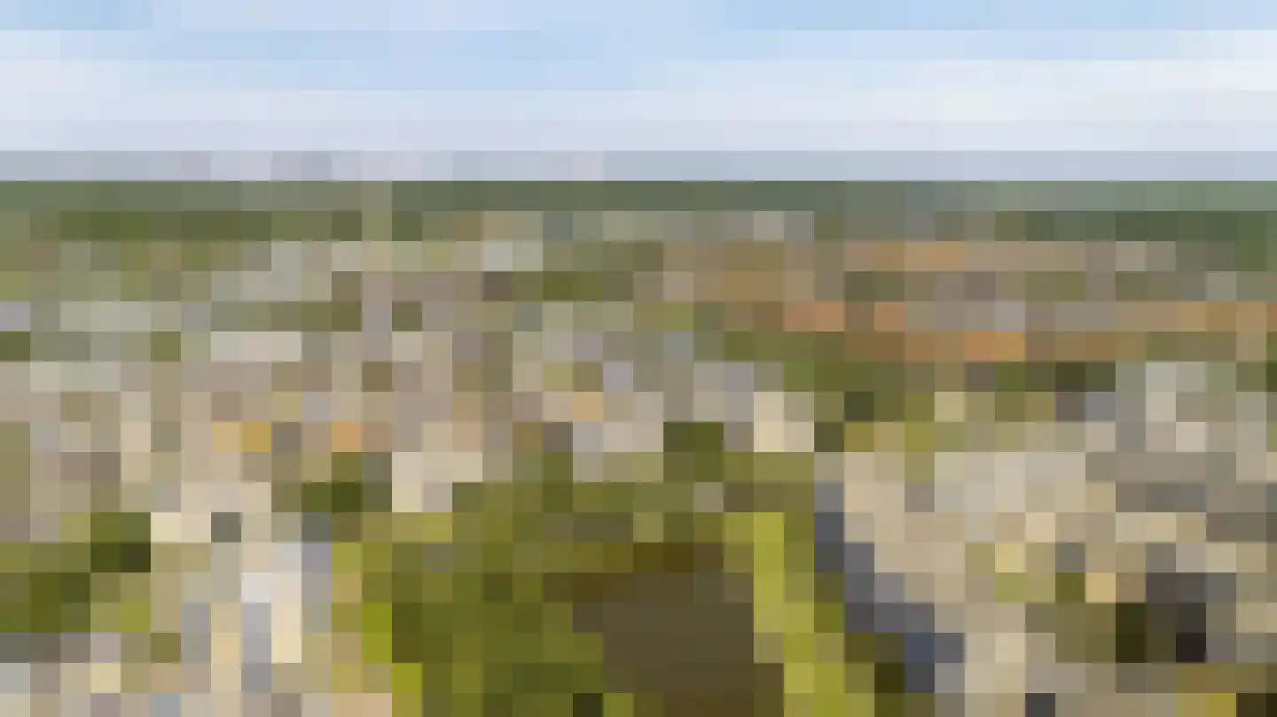 Zwanebloembocht 35 Velserbroek thumbnail 29
