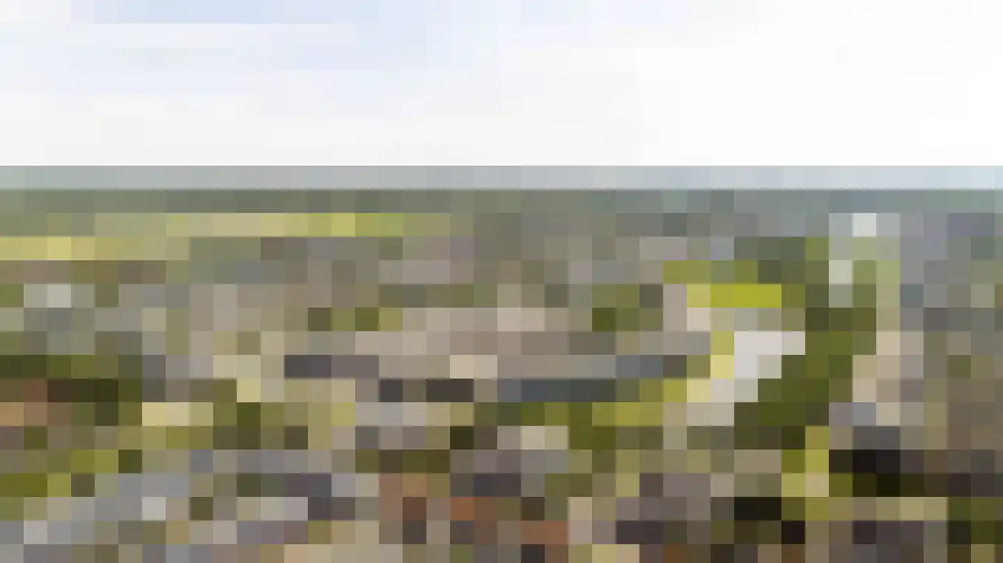 Zwanebloembocht 35 Velserbroek thumbnail 30