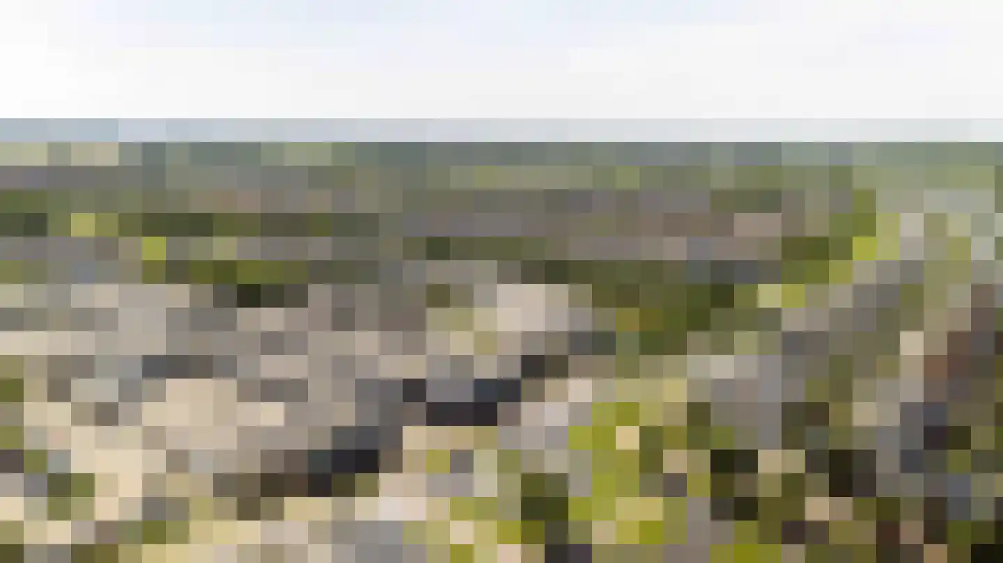 Zwanebloembocht 35 Velserbroek thumbnail 31