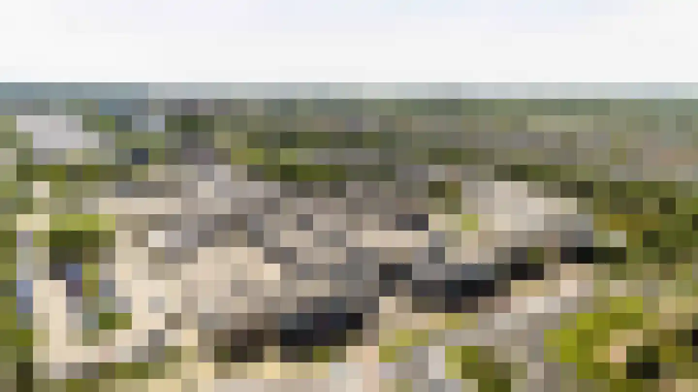Zwanebloembocht 35 Velserbroek thumbnail 32