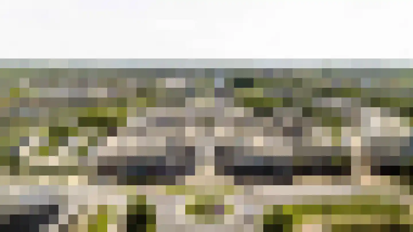 Zwanebloembocht 35 Velserbroek thumbnail 33