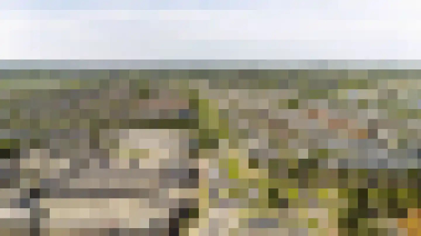 Zwanebloembocht 35 Velserbroek thumbnail 35