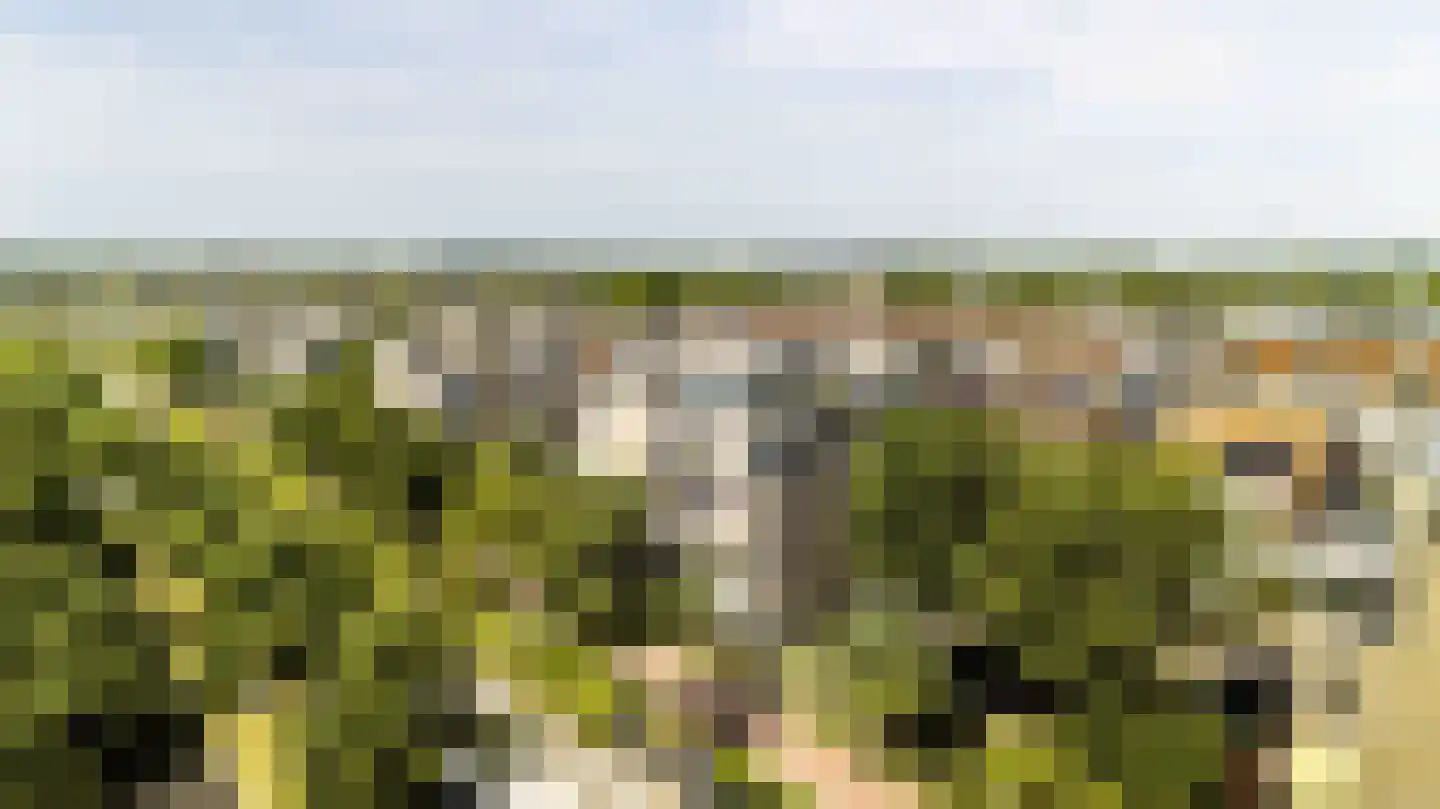 Zwanebloembocht 35 Velserbroek thumbnail 36