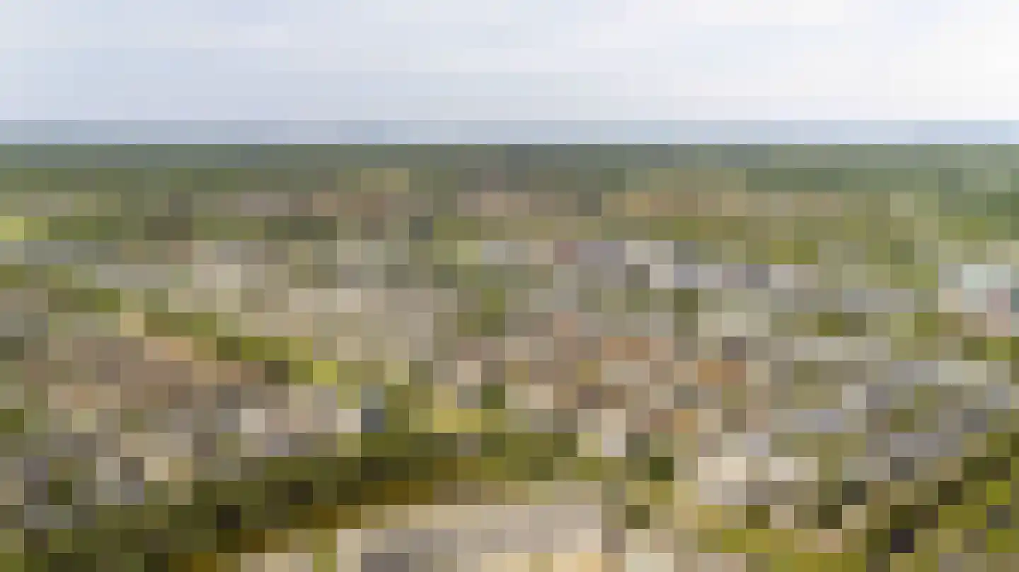 Zwanebloembocht 35 Velserbroek thumbnail 37