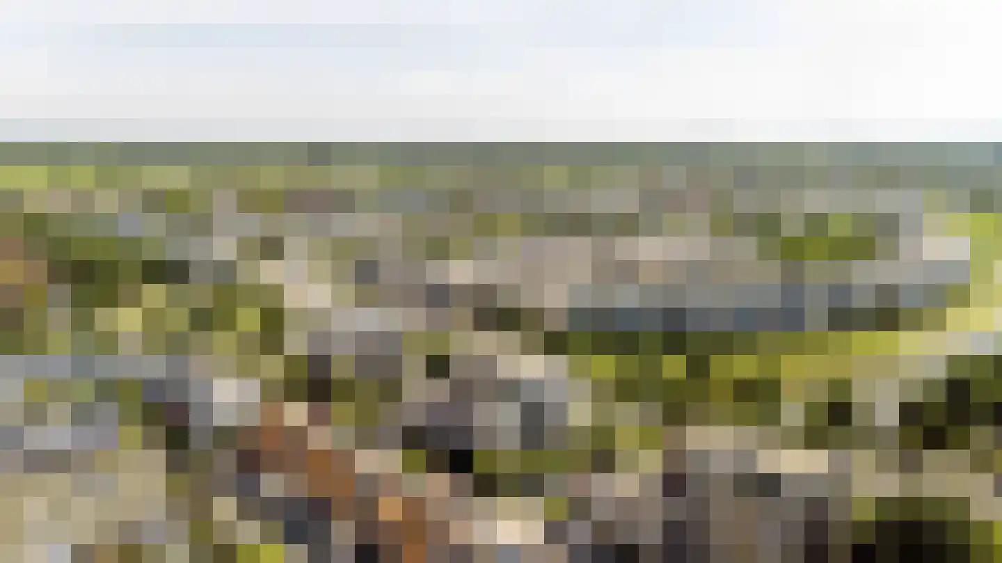 Zwanebloembocht 35 Velserbroek thumbnail 38