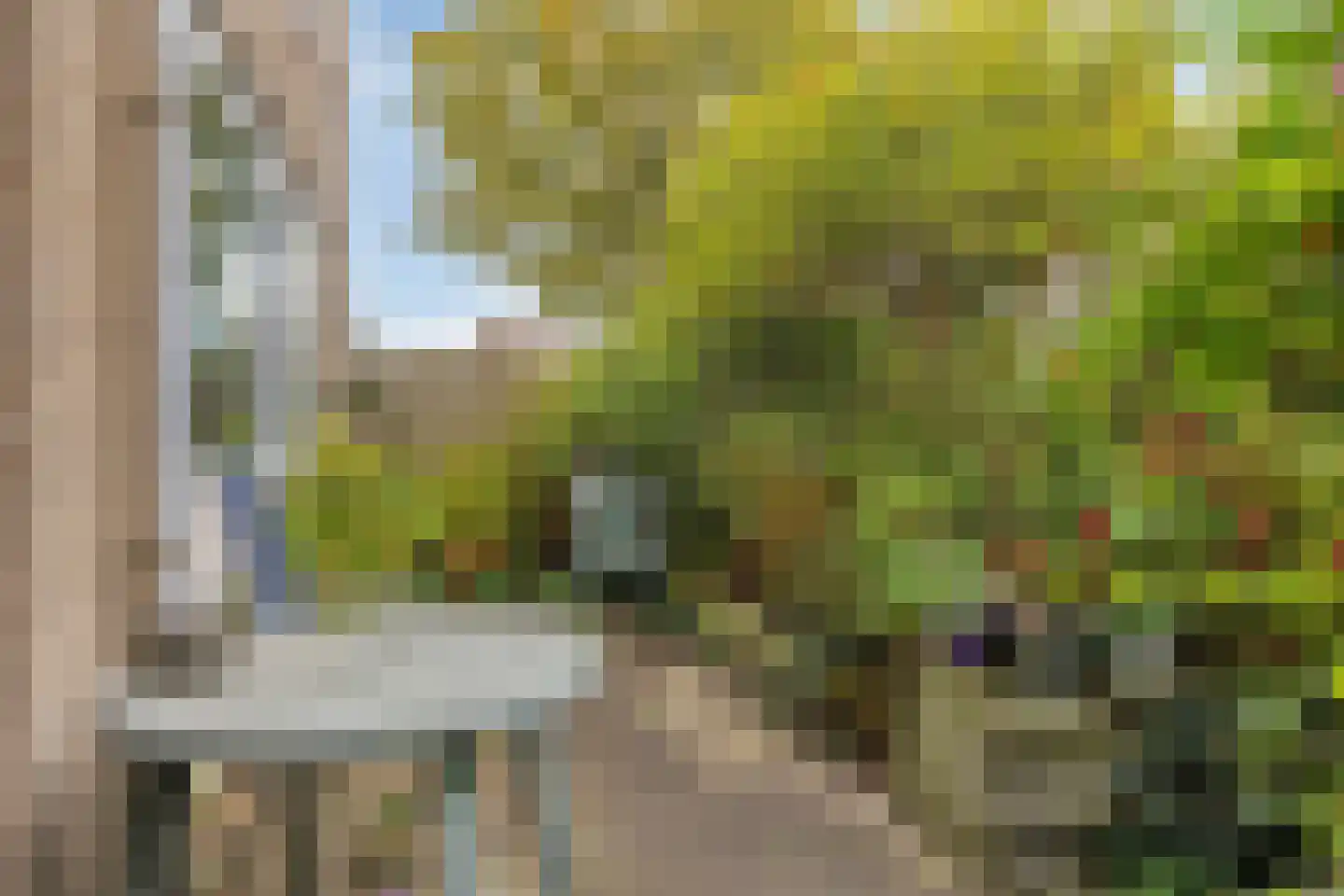 Zwanebloembocht 93 Velserbroek thumbnail 21