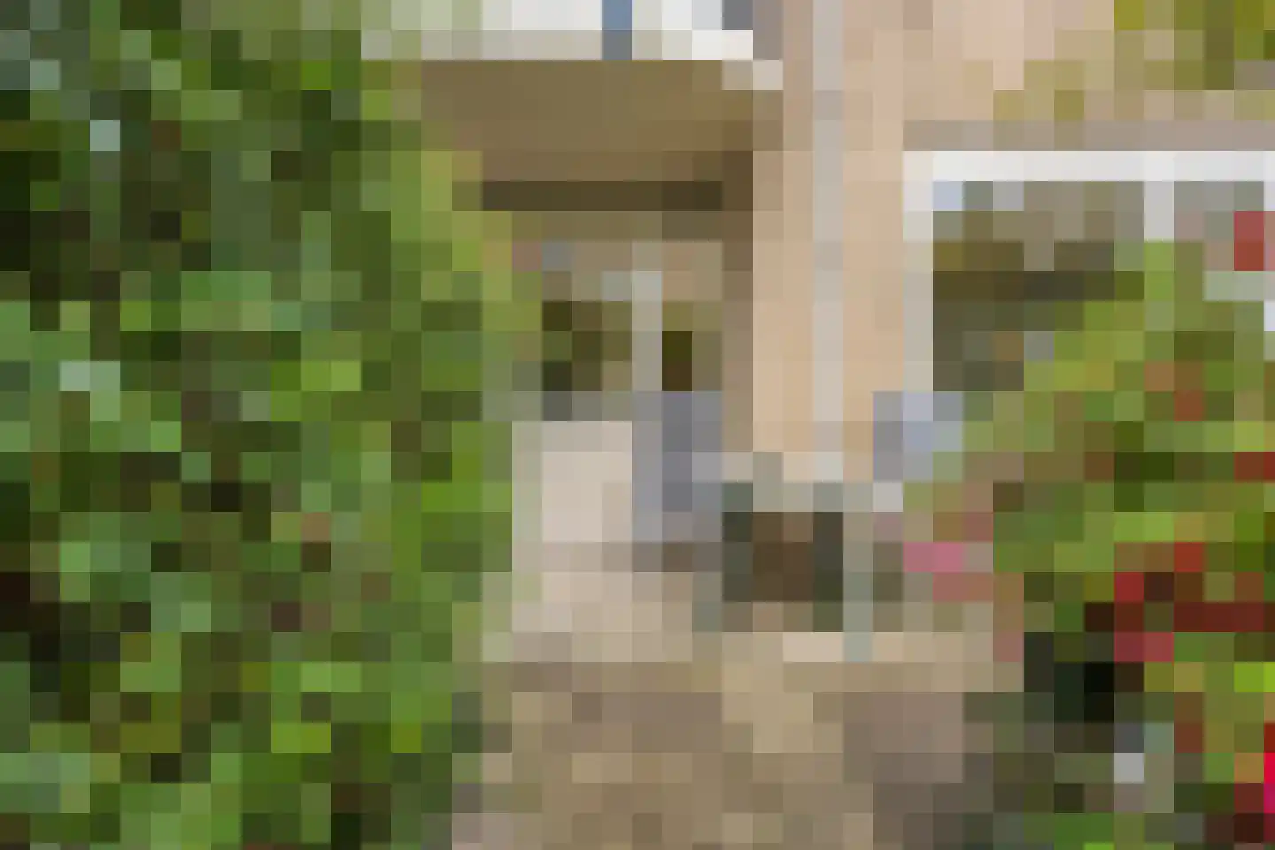 Zwanebloembocht 93 Velserbroek thumbnail 22