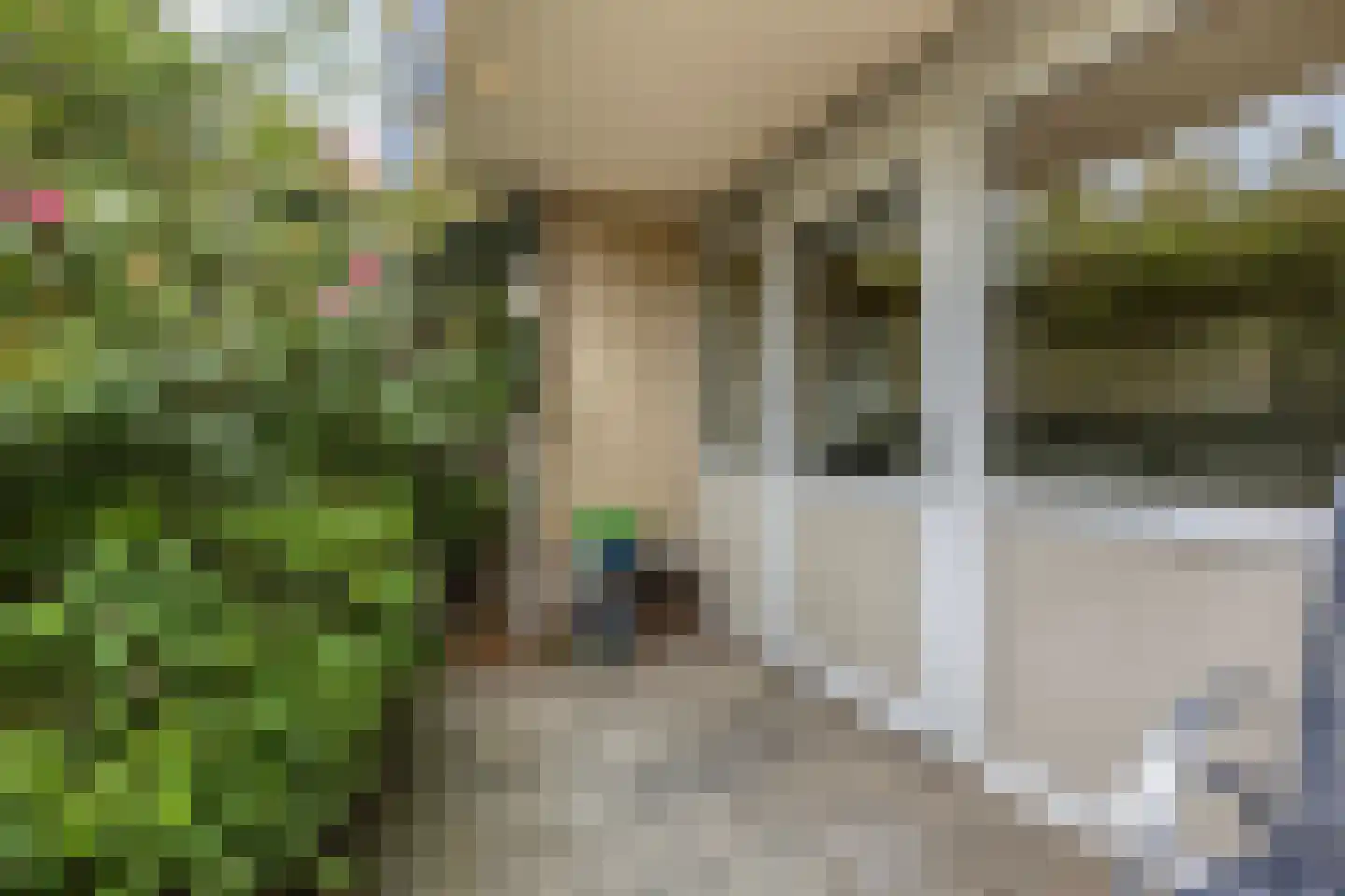 Zwanebloembocht 93 Velserbroek thumbnail 23