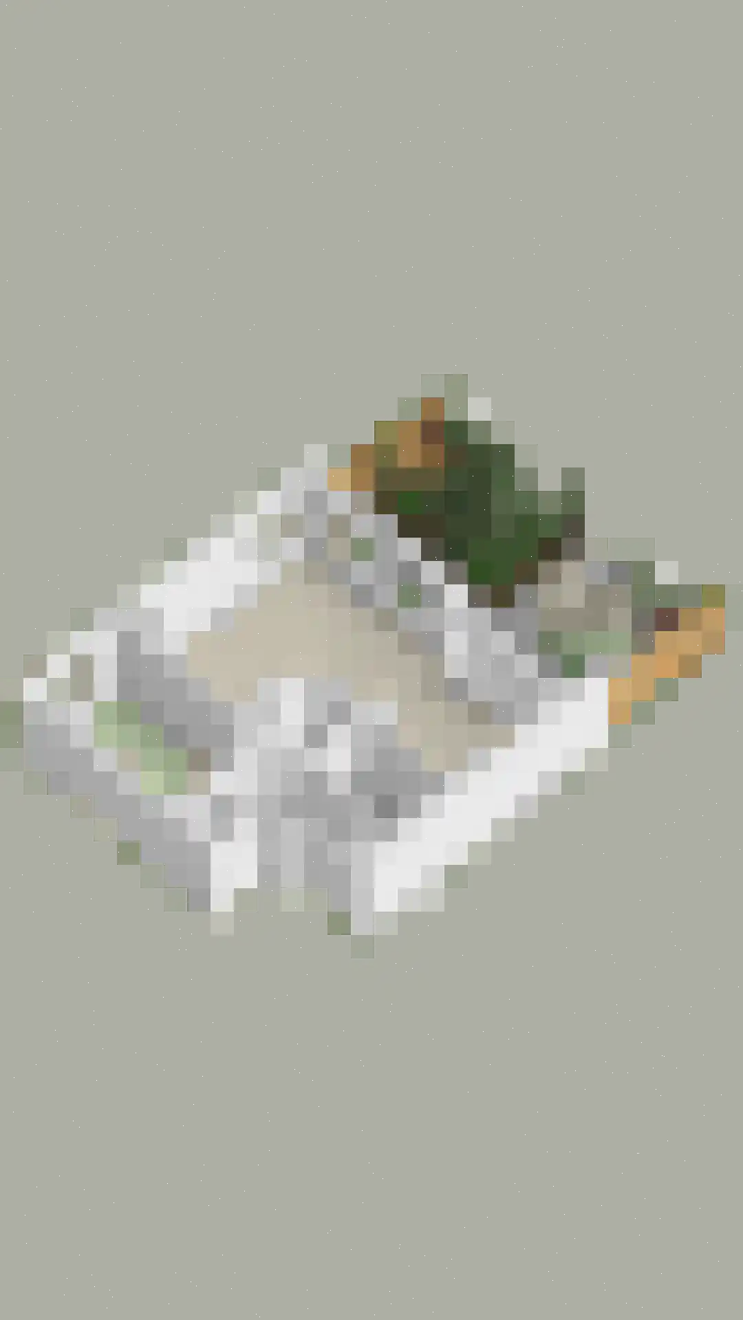 Zwanebloembocht 93 Velserbroek thumbnail 36