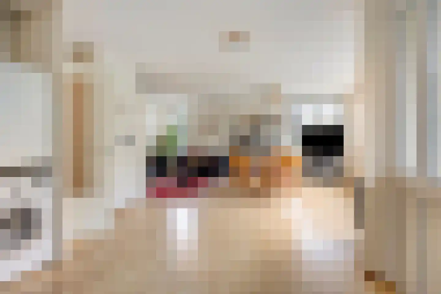 Zwanebloembocht 93 Velserbroek thumbnail 8