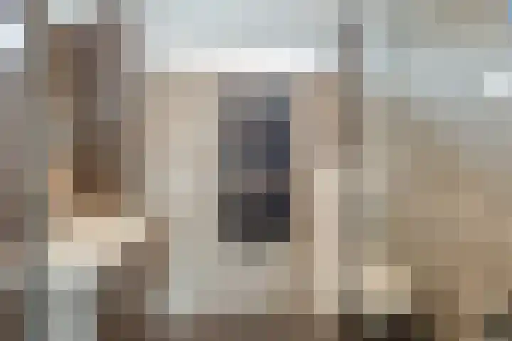 Zwanebloemkade 17 Zaandam thumbnail 14
