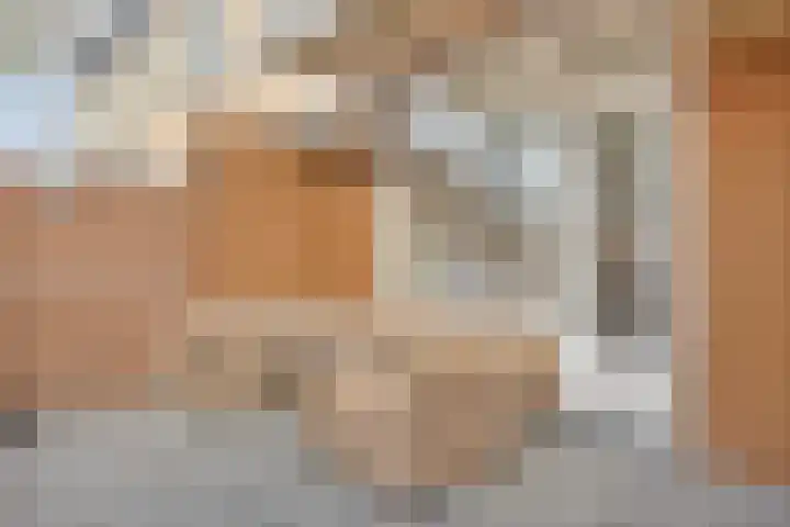 Zwanebloemkade 17 Zaandam thumbnail 20