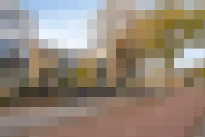 Zwanebloemkade 17 Zaandam thumbnail 23